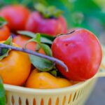 El rol de la vitamina D en la salud inmunológica