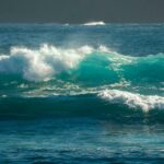 Cómo el contacto con la naturaleza puede fortalecer el sistema inmunológico